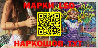 гидропоника Будённовск