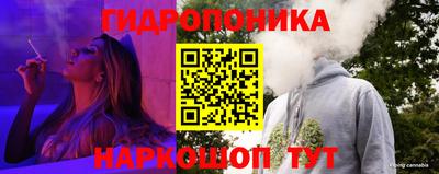 гидропоника Будённовск