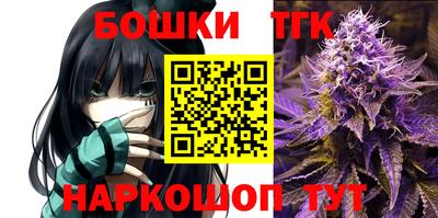 гидропоника Будённовск