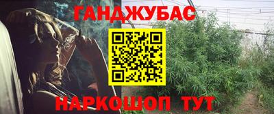 гидропоника Будённовск