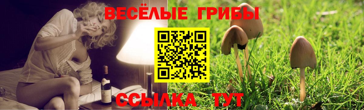 Галлюциногенные грибы мухоморы  Вход с VPN  Спасск-Дальний 